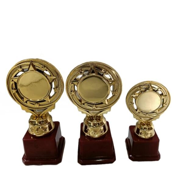 Setsons DF3 Premium Plastic Sports Trophies